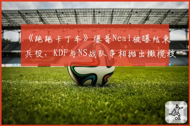 《跑跑卡丁车》爆哥Neal被曝结束兵役，KDF与NS战队争相抛出橄榄枝？